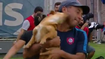 Un perro invadió la cancha de San Lorenzo Un perro invadió la cancha de San Lorenzo