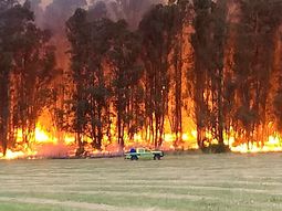 Impresionante incendio en las Sierras de Tandil: el fuego rodeó a un hotel cinco estrellas