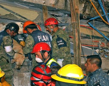 Se reveló el misterio en México: ¿qué pasó con Frida Sofía?