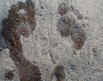 Encontraron huellas que revelaron detalles de cómo vivían los habitantes de la Edad de Hielo