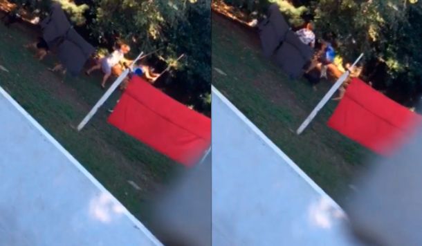 Denuncian a una vecina por maltratar a los 40 perros que tiene en su casa