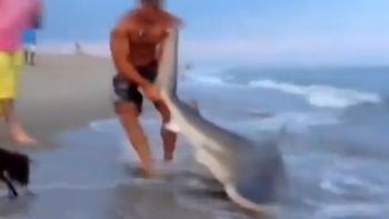 fue a pescar a la playa y fue sorprendido por un tiburon fue a pescar a la playa y fue sorprendido por un tiburon