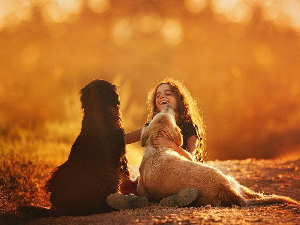 perro-dia-del-animal