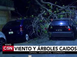 mucho viento en la ciudad: cayeron arboles, uno de ellos sobre un auto que circulaba mucho viento en la ciudad: cayeron arboles, uno de ellos sobre un auto que circulaba