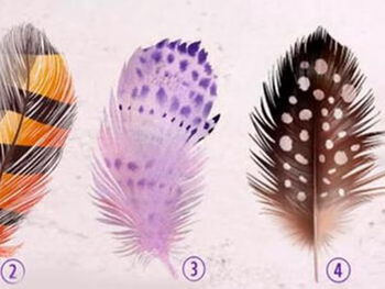 El test viral que revela tu talento oculto para destacar en el 2025