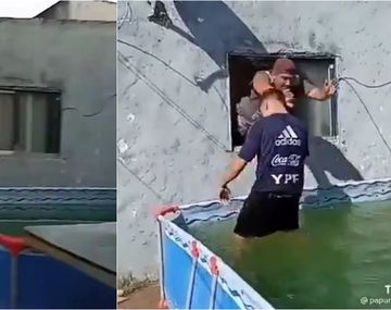 Los mejores videos de Papurri