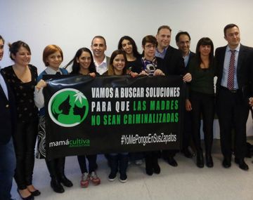 Cultivan cannabis medicinal para sus hijos y denuncian que las tratan de narcos