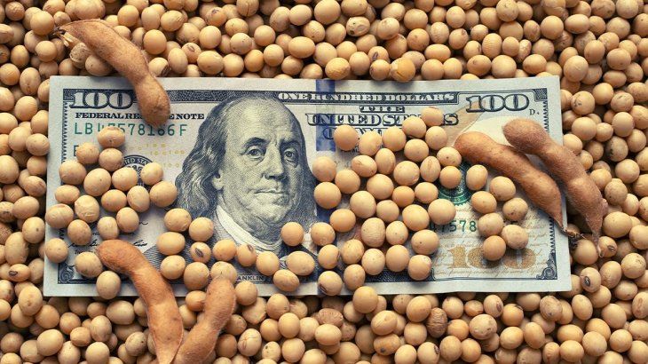 El dólar empujó a la baja a los futuros de la soja y el maíz