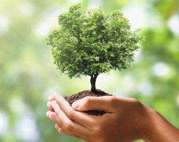 El futuro será sustentable o no será