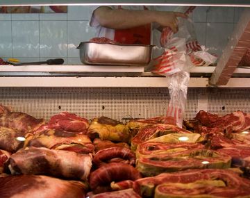 Carne_2