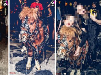 La defensa del boliche del pony