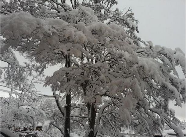 Mirá las primeras nevadas en Ushuaia