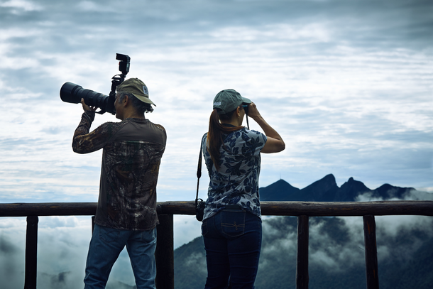 La niebla esconde un Edén: ¿Qué misterios guarda un mítico bosque cercano a Monterrey?