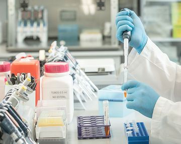 Suero equino y plasma contra el coronavirus: en qué casos y cómo se podrá utilizar