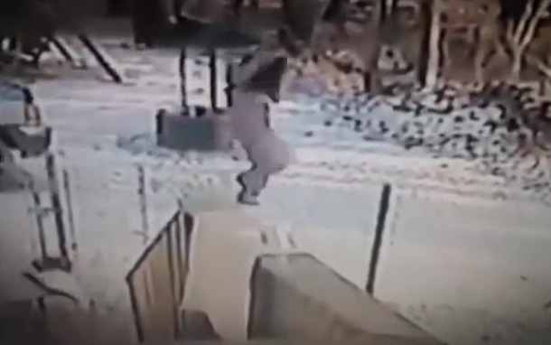 VIDEO: Un gato se defiende y hace retroceder a una mujer que lo atacaba