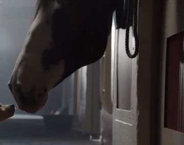 El superclásico: la publicidad más tierna del Super Bowl