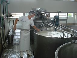 lacteos capaces de prevenir enfermedades llegan a las gondolas lacteos capaces de prevenir enfermedades llegan a las gondolas