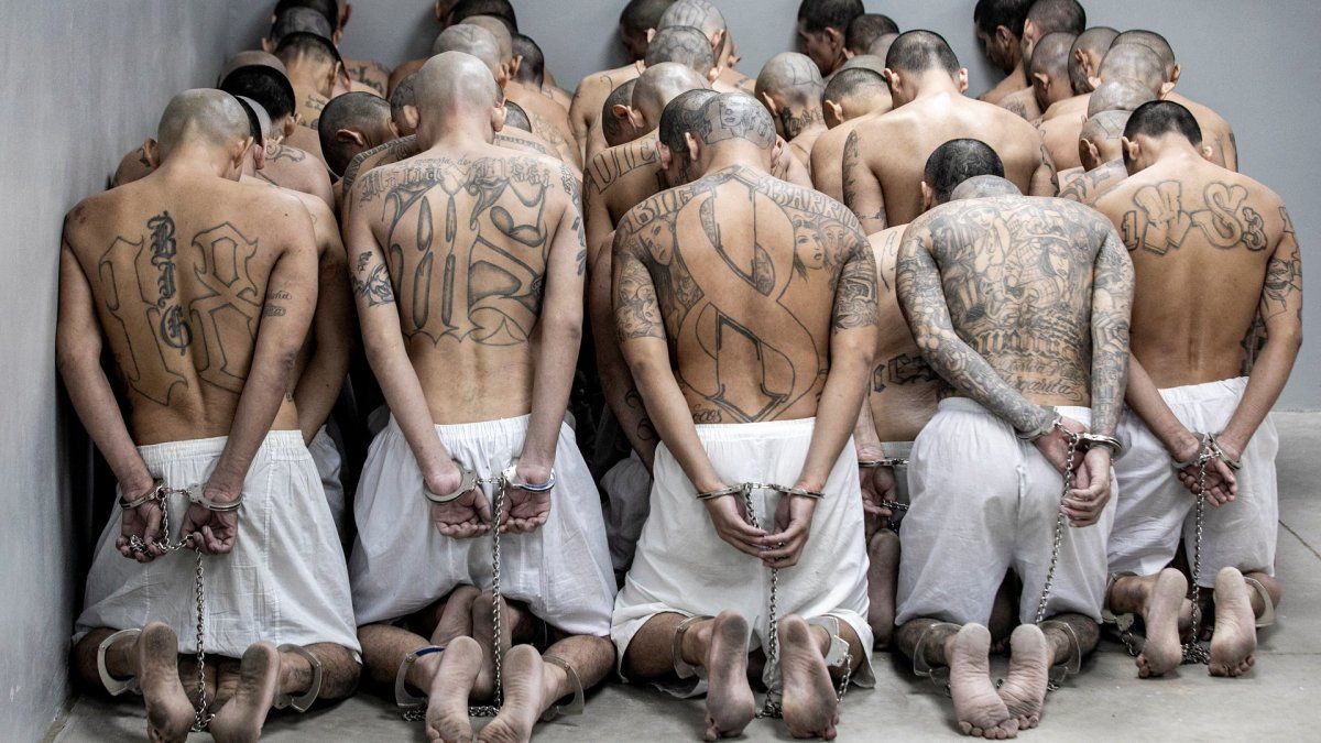 Imagen noticia completa