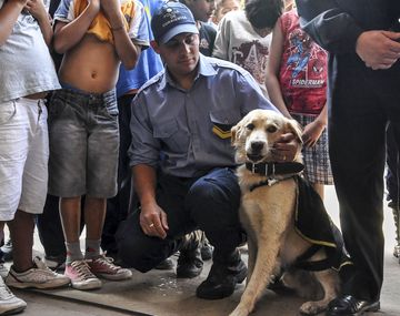 Un perro hizo que echaran a un jefe de policía en Corrientes&nbsp;