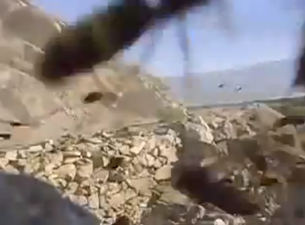 VIDEO: Avispas se vuelven locas después de una explosión