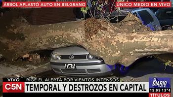 video: asi termino un auto por la caida de un arbol en belgrano video: asi termino un auto por la caida de un arbol en belgrano
