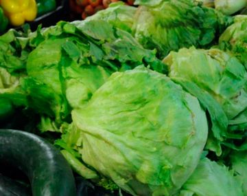 Es el momento de comprar verduras de hojas verdes