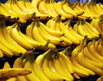 Parecen ser vegetarianos