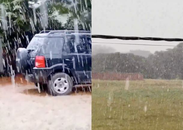 Histórica caída de nieve en Mar del Plata: en qué barrios y los impactantes videos