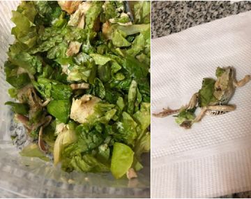 Denunció que pidió comida a un conocido restaurante y le vino con un cuerpo invitado
