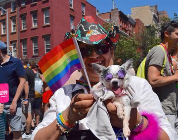 No hay marcha atrás: EEUU no derogará la ley de matrimonio igualitario