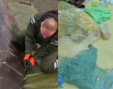 La autopsia a una ballena enferma