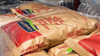 Leche en polvo entera Conaprole para exportación. Leche en polvo entera Conaprole para exportación.