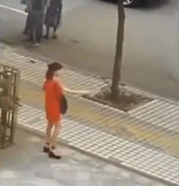 VIDEO: Un hombre salvó a una mujer que quería suicidarse en plena vía pública