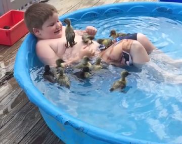 VIDEO: Se bañó con varios patos en una pelopincho