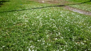 mar del plata, entre una fuerte caida de granizo y el sol mar del plata, entre una fuerte caida de granizo y el sol