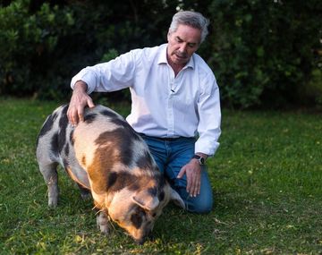 Felipe Solá y la Chancha Pelota