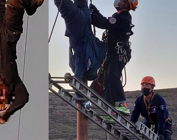 Insólito: quiso robar cables