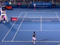 Del Potro y una jugada magistral Del Potro y una jugada magistral