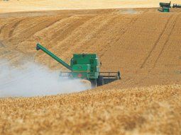 Aporte solidario: rechazan planteo de empresaria agropecuaria