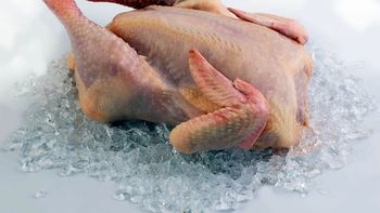 adios al microondas: este es el mejor metodo para descongelar la carne adios al microondas: este es el mejor metodo para descongelar la carne