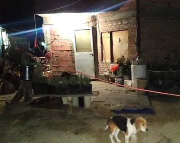 Asesinó a su suegra en venganza por una denuncia de violencia y lo detuvieron