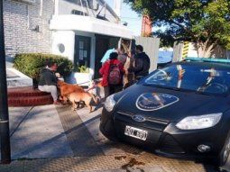 Inédito fallo contra el hombre que atropelló a un paseador y mató a tres perros en Belgrano