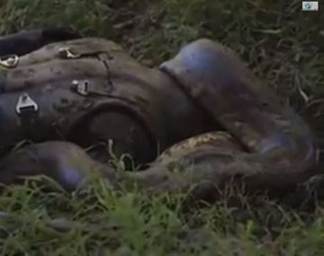 VIDEO: Quiso ser tragado por una anaconda
