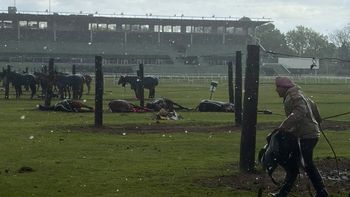 Tragedia en el Jockey Club de San Isidro: un rayo mató a cuatro yeguas y un cuidador terminó en el hospital Tragedia en el Jockey Club de San Isidro: un rayo mató a cuatro yeguas y un cuidador terminó en el hospital
