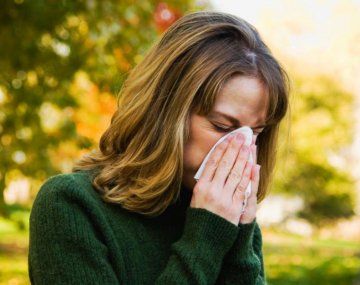 Las alergias están entre las seis patologías más frecuentes