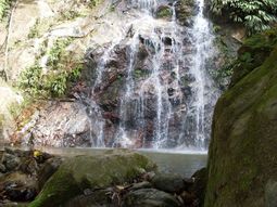 Un argentino murió en Colombia tras intentar sacarse una selfie