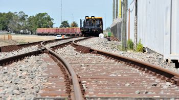 AFE quiere incrementar el transporte de carga en un 16%. AFE quiere incrementar el transporte de carga en un 16%.