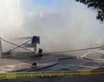 Gato escapa ileso de un derrumbe