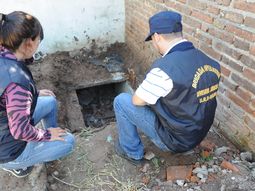 descubrieron un tunel y palomas mensajeras utilizados por una banda narco