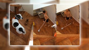 lo sorprenden limpiando y bailando lo sorprenden limpiando y bailando